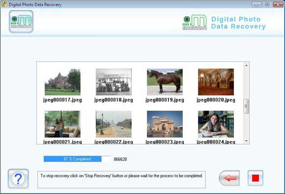 Screenshot of Data Recovery Digital Pictures